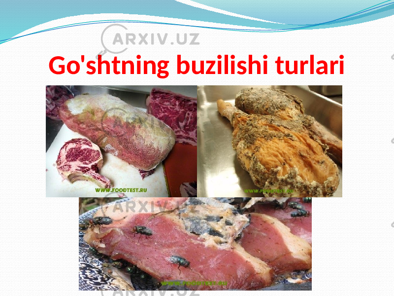 Go&#39;shtning buzilishi turlari 