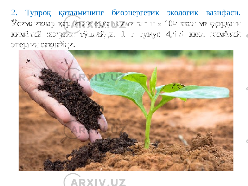 2. Тупроқ қатламининг биоэнергетик экологик вазифаси. Ўсимликлар ҳар йили ерда тахминан н х 10 17 ккал миқдордаги кимёвий энергия тўплайди. 1 г гумус 4,5-5 ккал кимёвий энергия сақлайди. 