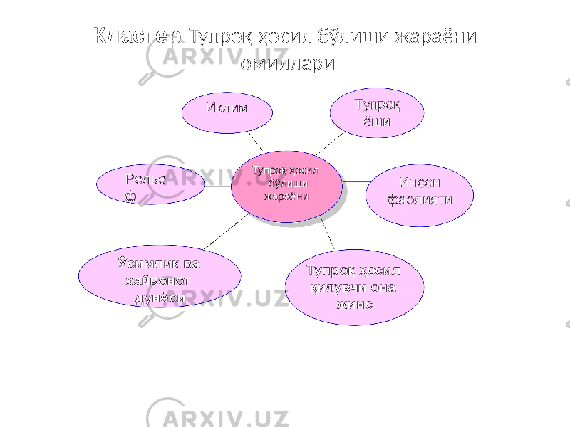 Тупроқ ҳосил бўлиши жараёниР е ль е ф Ўсимлик ва хайвонот дунёси Тупроқ ҳосил қилувчи она жинсИқлим Т у п р оқ ёши Инсон фа о лиятиКластер- Тупроқ ҳосил бўлиши жараёни омиллари 
