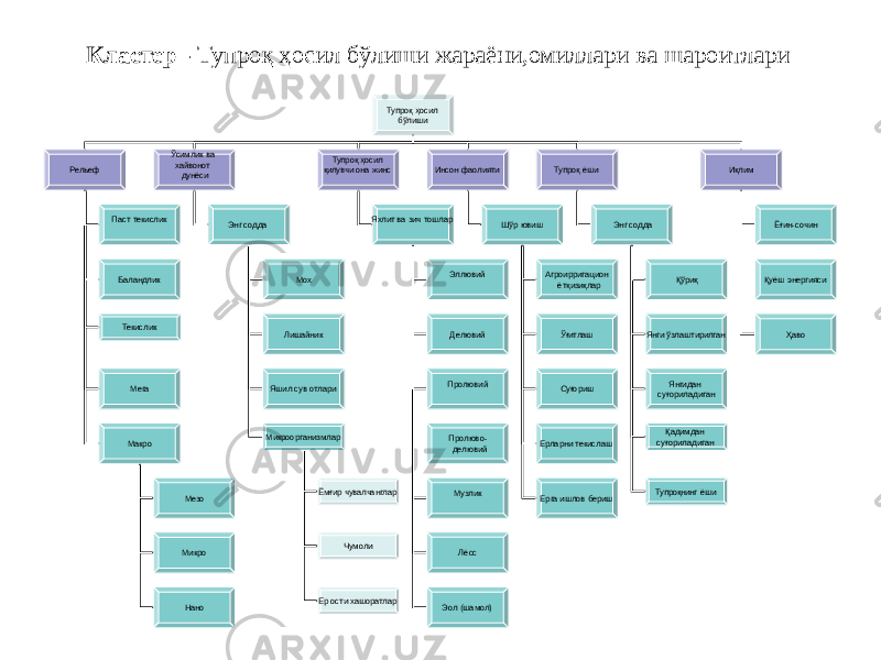 Кластер - Тупроқ ҳосил бўлиши жараёни,омиллари ва шароитлари Тупроқ ҳосил бўлиши Рельеф Ўсимлик ва хайвонот дунёси Тупроқ ҳосил қилувчи она жинс Инсон фаолияти Тупроқ ёши Иқлим Паст текислик Баландлик Яхлит ва зич тошлар Шўр ювиш Энг содда Ёғин-сочин Қуёш энергияси Ҳаво Мега Макро Мезо Микро Нано Энг содда Мох Лишайник Яшил сув отлари Эллювий Делювий Пролювий П ро л ю в о - делювий Музлик Лёсс Эол (шамол) Аг роирри г ац и он ётқизиқлар Ўғитлаш Суғориш Ерларни текислаш Ерга ишлов бериш Қўриқ Янги ўзлаштирилган Янгидан с у ғ ори л а д и г а нТекислик Қадимдан с у ғ ори л а д и г а н Тупроқнинг ёшиМ икроор г ан и з м л а р Ёмғир чувалчанглар Чумоли Ер ости хашоратлар 