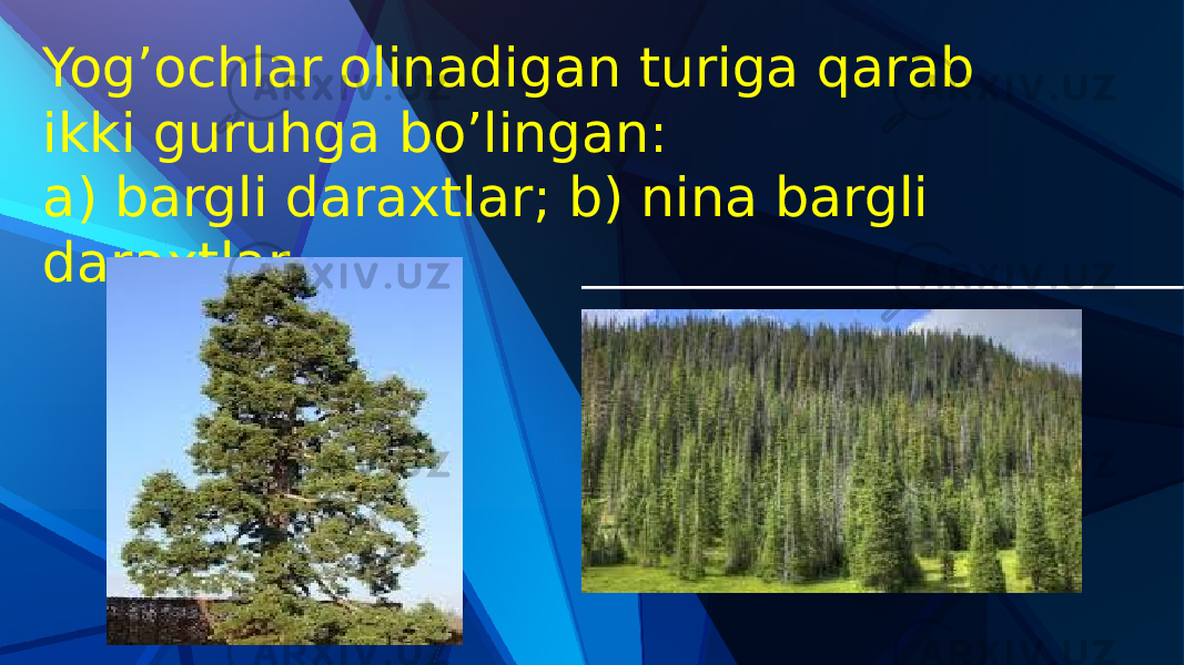 Yog’ochlar olinadigan turiga qarab ikki guruhga bo’lingan: a) bargli daraxtlar; b) nina bargli daraxtlar. 