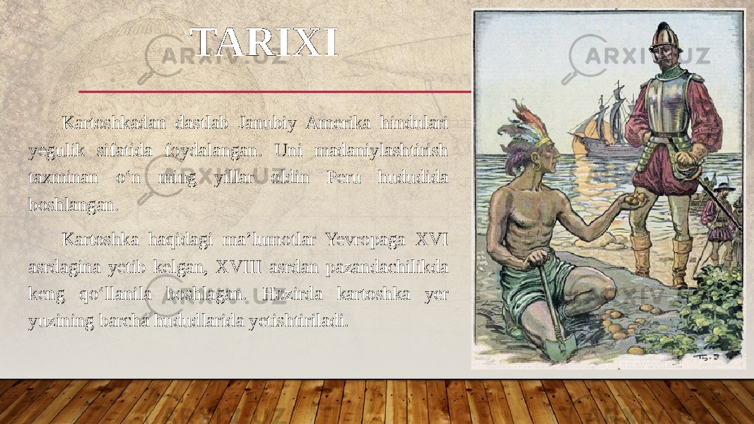 Kartoshkadan dastlab Janubiy Amerika hindulari yegulik sifatida foydalangan. Uni madaniylashtirish taxminan o‘n ming yillar oldin Peru hududida boshlangan. Kartoshka haqidagi ma’lumotlar Yevropaga XVI asrdagina yetib kelgan, XVIII asrdan pazandachilikda keng qo‘llanila boshlagan. Hozirda kartoshka yer yuzining barcha hududlarida yetishtiriladi. TARIXI 