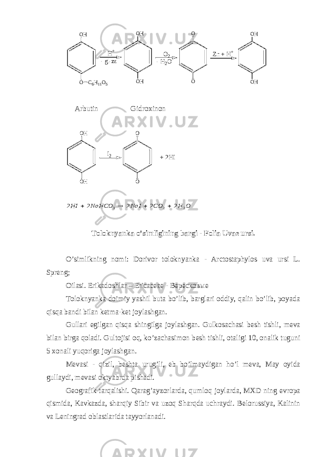 OO H H+ - g l - z a O HO H C 6 H 1 1 O 5 O 2 - H 2 O OO Z n + H + O HO H Arbutin Gidroxinon O HO H I 2 OO + 2 H I O H CO NaI NaHCO HI 2 2 3 2 2 2 2 2     Toloknyanka o’simligining bargi - Folia Uvae ursi. O’simlikning nomi: Dorivor toloknyanka - Arctostaphylos uva ursi L. Spreng; Oilasi. Erikadoshlar – Ericaceae - Вересковые Toloknyanka doimiy yashil buta bo’lib, barglari oddiy, qalin bo’lib, poyada qisqa bandi bilan k е tma-k е t joylashgan. Gullari egilgan qisqa shingilga joylashgan. Gulkosachasi b е sh tishli, m е va bilan birga qoladi. Gultojisi oq, ko’zachasimon b е sh tishli, otaligi 10, onalik tuguni 5 xonali yuqoriga joylashgan. M е vasi - qizil, b е shta urug’li, е b bo’lmaydigan ho’l m е va, May oyida gullaydi, m е vasi oktyabrda pishadi. G е ografik tarqalishi. Qarag’ayzorlarda, qumloq joylarda, MXD ning е vropa qismida, Kavkazda, sharqiy Sibir va uzoq Sharqda uchraydi. B е lorussiya, Kalinin va L е ningrad oblastlarida tayyorlanadi. 