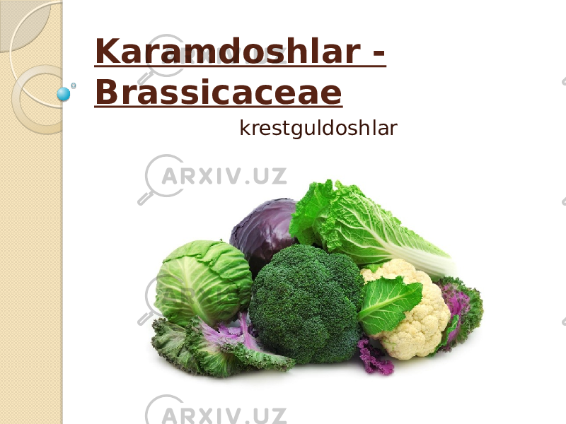 Karamdoshlar - Brassicaceae krestguldoshlar 