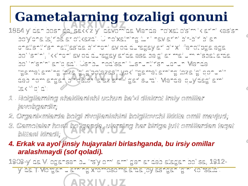 Gametalarning tozaligi qonuni 1854 yildan boshlab, sakkiz yil davomida Mendel no&#39;xat o&#39;simliklarini kesish bo&#39;yicha tajribalar o&#39;tkazdi. U no‘xatning turli navlarini bir-biri bilan chatishtirish natijasida birinchi avlod duragaylari bir xil fenotipga ega bo‘lishini, ikkinchi avlod duragaylarida esa belgilar ma’lum nisbatlarda bo‘linishini aniqladi. Ushbu hodisani tushuntirish uchun Mendel &#34;gametlarning tozaligi gipotezasi&#34; yoki &#34;gametlarning tozaligi qonuni&#34; deb nomlangan bir qator farazlarni ilgari surdi. Mendel quyidagilarni taklif qildi: 1 . Belgilarning shakllanishi uchun ba&#39;zi diskret irsiy omillar javobgardir; 2. Organizmlarda belgi rivojlanishini belgilovchi ikkita omil mavjud; 3. Gametalar hosil bo&#39;lganda, ularning har biriga juft omillardan faqat bittasi kiradi; 4. Erkak va ayol jinsiy hujayralari birlashganda, bu irsiy omillar aralashmaydi (sof qoladi). 1909-yilda V.Iogansen bu irsiy omillarni genlar deb atagan boʻlsa, 1912- yilda T.Morgan ularning xromosomalarda joylashganligini koʻrsatdi. 