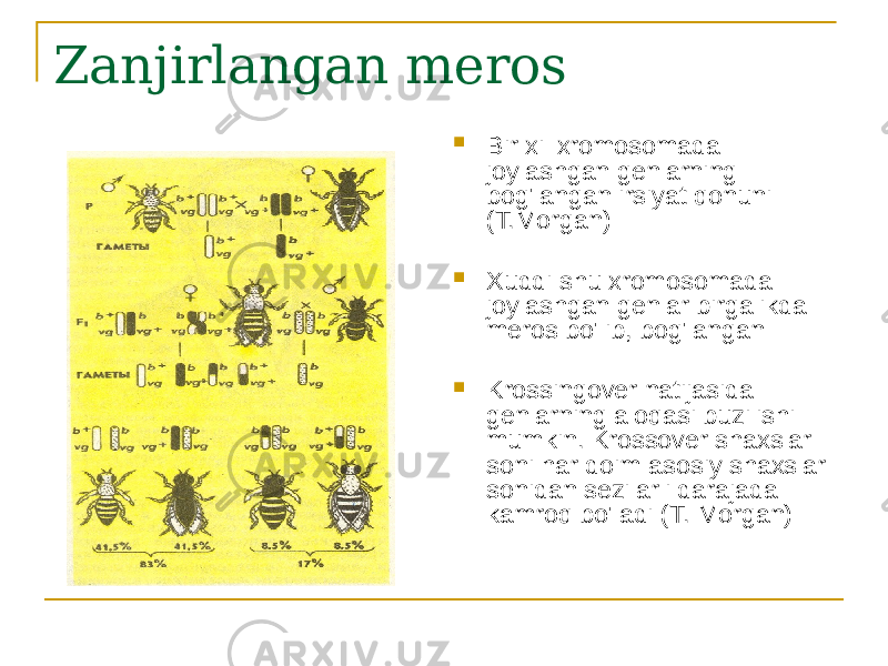 Zanjirlangan meros  Bir xil xromosomada joylashgan genlarning bog&#39;langan irsiyat qonuni (T.Morgan)  Xuddi shu xromosomada joylashgan genlar birgalikda meros bo&#39;lib, bog&#39;langan  Krossingover natijasida genlarning aloqasi buzilishi mumkin. Krossover shaxslar soni har doim asosiy shaxslar sonidan sezilarli darajada kamroq bo&#39;ladi (T. Morgan) 