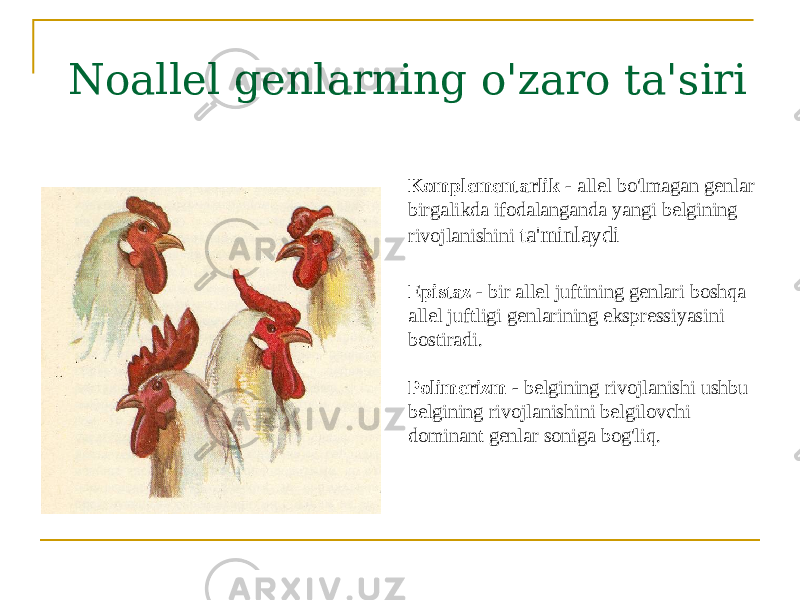 Noallel genlarning o&#39;zaro ta&#39;siri Komplementarlik - allel bo&#39;lmagan genlar birgalikda ifodalanganda yangi belgining rivojlanishini ta&#39;minlaydi Epistaz - bir allel juftining genlari boshqa allel juftligi genlarining ekspressiyasini bostiradi. Polimerizm - belgining rivojlanishi ushbu belgining rivojlanishini belgilovchi dominant genlar soniga bog&#39;liq. 