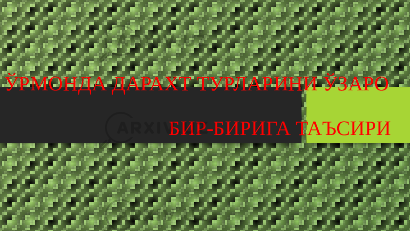 ЎРМОНДА ДАРАХТ ТУРЛАРИНИ ЎЗАРО БИР-БИРИГА ТАЪСИРИ 