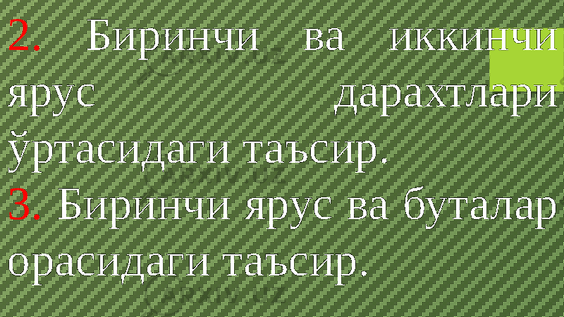 2. Биринчи ва иккинчи ярус дарахтлари ўртасидаги таъсир. 3. Биринчи ярус ва буталар орасидаги таъсир. 