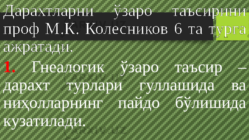 Дарахтларни ўзаро таъсирини проф М.К. Колесников 6 та турга ажратади. 1. Гнеалогик ўзаро таъсир – дарахт турлари гуллашида ва ниҳолларнинг пайдо бўлишида кузатилади. 