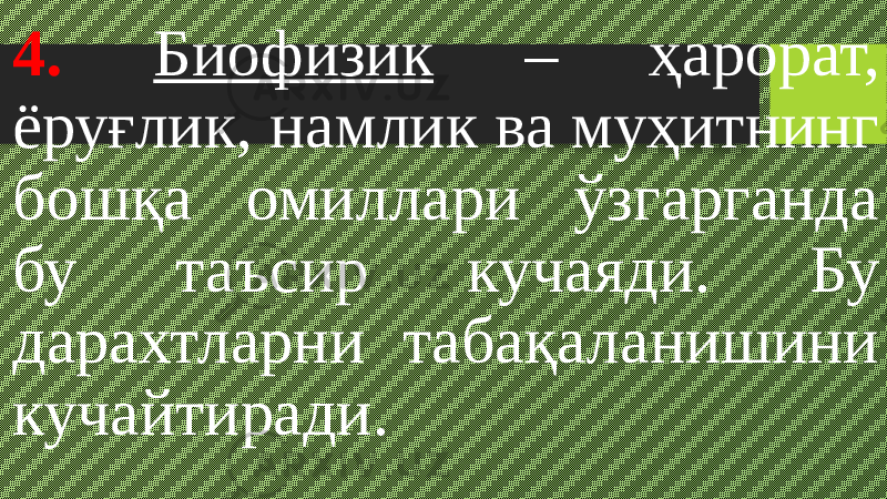 4. Биофизик – ҳарорат, ёруғлик, намлик ва муҳитнинг бошқа омиллари ўзгарганда бу таъсир кучаяди. Бу дарахтларни табақаланишини кучайтиради. 