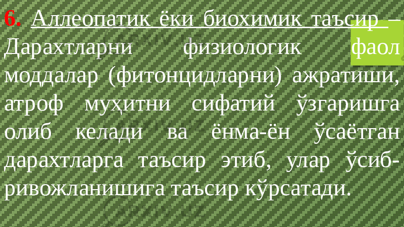 6. Аллеопатик ёки биохимик таъсир – Дарахтларни физиологик фаол моддалар (фитонцидларни) ажратиши, атроф муҳитни сифатий ўзгаришга олиб келади ва ёнма-ён ўсаётган дарахтларга таъсир этиб, улар ўсиб- ривожланишига таъсир кўрсатади. 