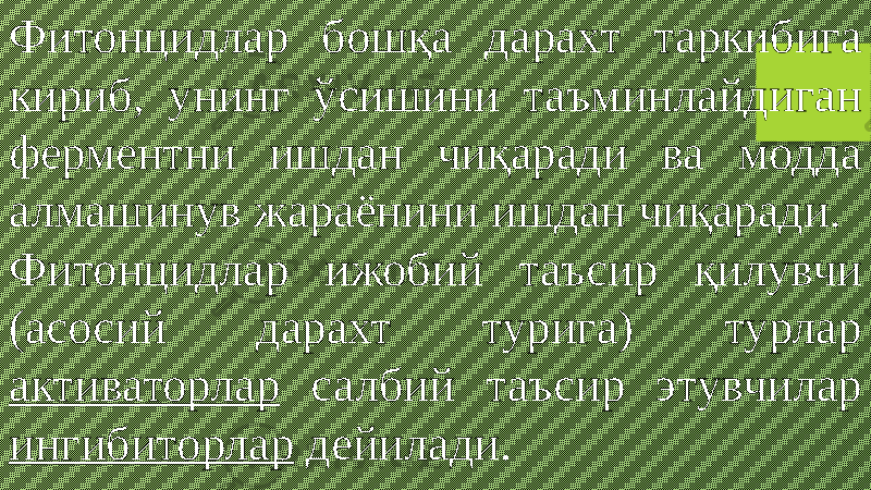 Фитонцидлар бошқа дарахт таркибига кириб, унинг ўсишини таъминлайдиган ферментни ишдан чиқаради ва модда алмашинув жараёнини ишдан чиқаради. Фитонцидлар ижобий таъсир қилувчи (асосий дарахт турига) турлар активаторлар салбий таъсир этувчилар ингибиторлар дейилади. 