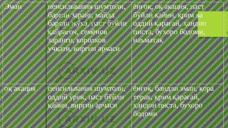 Эман пенсильвания шумтоли, баргли заранг, майда баргли жўка, паст бўйли қайрағоч, семёнов заранги, королков учқати, виргин арчаси   ёнғоқ, оқ акация, паст бўйли қайин, қрим ва оддий қарағай, ҳандон писта, бухоро бодоми, наъматак оқ акация пенсильвания шумтоли, оддий ўрик, паст бўйли қайин, виргин арчаси ёнғоқ, бандли эман, қора терак, қрим қарағай, ҳандон писта, бухоро бодоми 