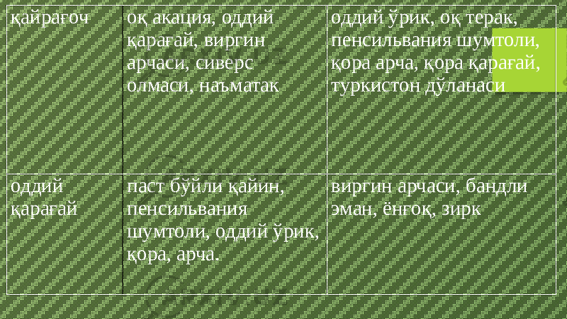 қайрағоч оқ акация, оддий қарағай, виргин арчаси, сиверс олмаси, наъматак оддий ўрик, оқ терак, пенсильвания шумтоли, қора арча, қора қарағай, туркистон дўланаси оддий қарағай паст бўйли қайин, пенсильвания шумтоли, оддий ўрик, қора, арча. виргин арчаси, бандли эман, ёнғоқ, зирк 