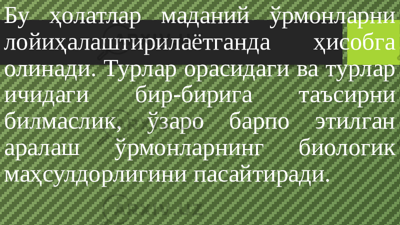 Бу ҳолатлар маданий ўрмонларни лойиҳалаштирилаётганда ҳисобга олинади. Турлар орасидаги ва турлар ичидаги бир-бирига таъсирни билмаслик, ўзаро барпо этилган аралаш ўрмонларнинг биологик маҳсулдорлигини пасайтиради. 