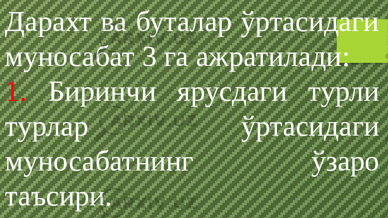 Дарахт ва буталар ўртасидаги муносабат 3 га ажратилади: 1. Биринчи ярусдаги турли турлар ўртасидаги муносабатнинг ўзаро таъсири. 