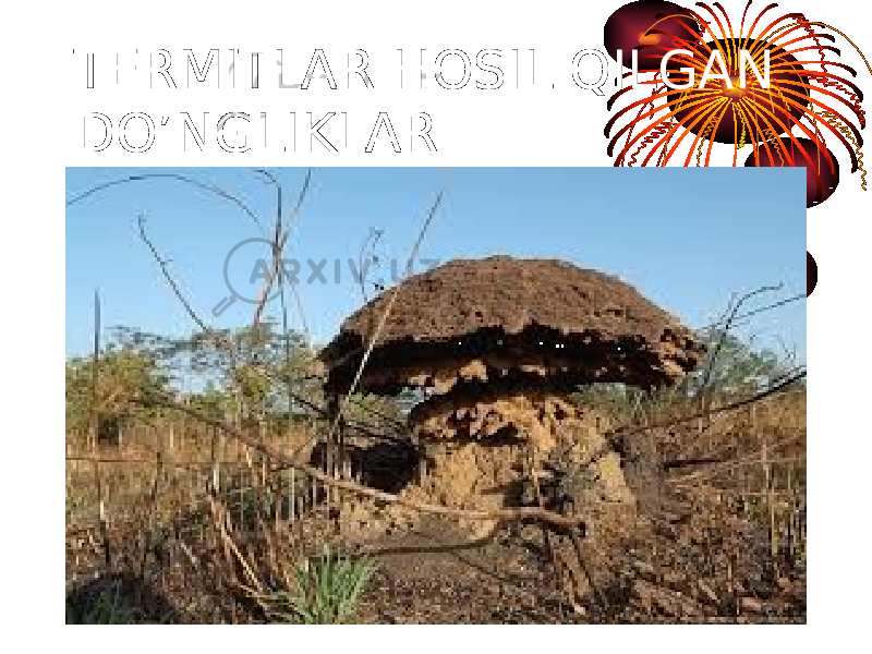 TERMITLAR HOSIL QILGAN DO’NGLIKLAR 