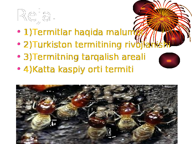 Reja . • 1)Termitlar haqida malumot. • 2)Turkiston termitining rivojlanishi • 3)Termitning tarqalish areali • 4)Katta kaspiy orti termiti 