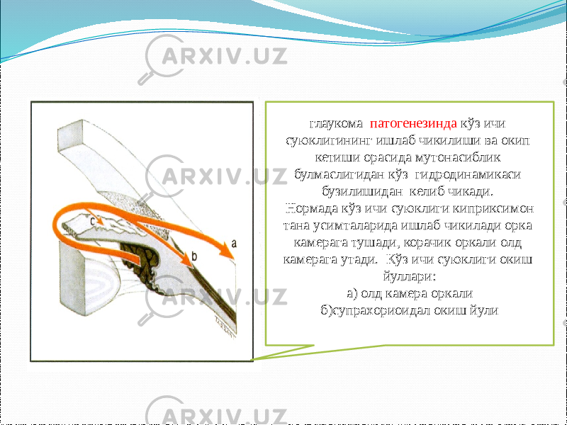 глаукома патогенезинда к ў з ичи суюклигининг ишлаб чикилиши ва окип кетиши орасида мутонасиблик булмаслигидан к ўз гидродинамикаси бузилишидан келиб чикади. Нормада к ў з ичи суюклиги киприксимон тана усимталарида ишлаб чикилади орка камерага тушади, корачик оркали олд камерага утади. К ўз ичи суюклиги окиш йуллари: а) олд камера оркали б)супрахориоидал окиш йули 