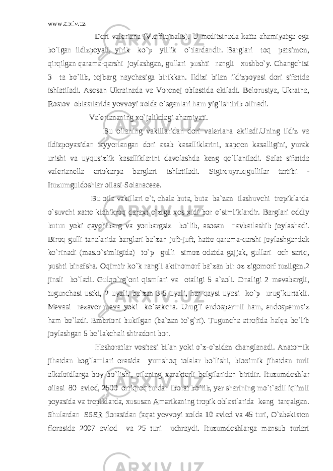 www.arxiv.uz Dori valeriana (V.officinalis). U meditsinada katta ahamiyatga ega bo`lgan ildizpoyali, yirik ko`p yillik o`tlardandir. Barglari toq patsimon, qirqilgan qarama-qarshi joylashgan, gullari pushti rangli xushbo`y. Changchisi 3 ta bo`lib, tojbarg naychasiga birikkan. Ildizi bilan ildizpoyasi dori sifatida ishlatiladi. Asosan Ukrainada va Voronej oblastida ekiladi. Belorusiya, Ukraina, Rostov oblastlarida yovvoyi xolda o`sganlari ham yig`ishtirib olinadi. Valeriananing xo`jalikdagi ahamiyati. Bu oilaning vakillaridan dori valeriana ekiladi.Uning ildiz va ildizpoyasidan tayyorlangan dori asab kasalliklarini, xapqon kasalligini, yurak urishi va uyqusizlik kasalliklarini davolashda keng qo`llaniladi. Salat sifatida valerianella eriokarpa barglari ishlatiladi. Sigirquyruqgullilar tartibi - Ituzumguldoshlar oilasi-Solanaceae. Bu oila vakillari o`t, chala buta, buta ba`zan ilashuvchi tropiklarda o`suvchi xatto kichikroq daraxt o`ziga xos xidi bor o`simliklardir. Barglari oddiy butun yoki qaychibarg va yonbargsiz bo`lib, asosan navbatlashib joylashadi. Biroq gulli tanalarida barglari ba`zan juft-juft, hatto qarama-qarshi joylashgandek ko`rinadi (mas.o`simligida) to`p gulli simoz odatda gajjak, gullari och sariq, pushti binafsha. Oqimtir ko`k rangli aktinomorf ba`zan bir oz zigomorf tuzilgan.2 jinsli bo`ladi. Gulqo`rg`oni qismlari va otaligi 5 a`zoli. Onaligi 2 mevabargli, tugunchasi ustki, 2 uyali, ba`zan 3-5 uyali, har qaysi uyasi ko`p urug`kurtakli. Mevasi rezavor-meva yoki ko`sakcha. Urug`i endospermli ham, endospermsiz ham bo`ladi. Embrioni bukilgan (ba`zan to`g`ri). Tuguncha atrofida halqa bo`lib joylashgan 5 bo`lakchali shiradoni bor. Hashoratlar vositasi bilan yoki o`z-o`zidan changlanadi. Anatomik jihatdan bog`lamlari orasida yumshoq tolalar bo`lishi, bioximik jihatdan turli alkaloidlarga boy bo`lishi, oilaning xarakterli belgilaridan biridir. Ituzumdoshlar oilasi 80 avlod, 2500 ortiqroq turdan iborat bo`lib, yer sharining mo`t`adil iqlimli poyasida va tropiklarda, xususan Amerikaning tropik oblastlarida keng tarqalgan. Shulardan SSSR florasidan faqat yovvoyi xolda 10 avlod va 45 turi, O`zbekiston florasida 2007 avlod va 25 turi uchraydi. Ituzumdoshlarga mansub turlari 