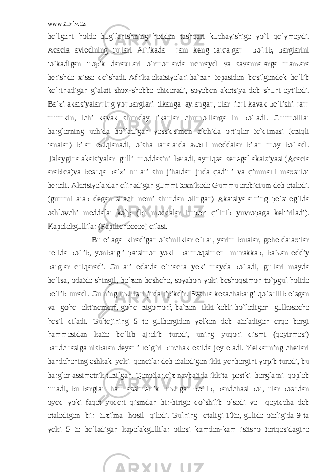 www.arxiv.uz bo`lgani holda bug`lanishning haddan tashqari kuchayishiga yo`l qo`ymaydi. Acacia avlodining turlari Afrikada ham keng tarqalgan bo`lib, barglarini to`kadigan tropik daraxtlari o`rmonlarda uchraydi va savannalarga manzara berishda xissa qo`shadi. Afrika akatsiyalari ba`zan tepasidan bosilgandek bo`lib ko`rinadigan g`alati shox-shabba chiqaradi, soyabon akatsiya deb shuni aytiladi. Ba`zi akatsiyalarning yonbarglari tikanga aylangan, ular ichi kavak bo`lishi ham mumkin, ichi kavak shunday tikanlar chumolilarga in bo`ladi. Chumolilar barglarning uchida bo`ladigan yassiqsimon alohida ortiqlar to`qimasi (oziqli tanalar) bilan oziqlanadi, o`sha tanalarda azotli moddalar bilan moy bo`ladi. Talaygina akatsiyalar gulli moddasini beradi, ayniqsa senegal akatsiyasi (Acacia arabica)va boshqa ba`zi turlari shu jihatdan juda qadirli va qimmatli maxsulot beradi. Akatsiyalardan olinadigan gummi texnikada Gummu arabicium deb ataladi. (gummi arab degan sirach nomi shundan olingan) Akatsiyalarning po`stlog`ida oshlovchi moddalar ko`p (bu moddalar import qilinib yuvropaga keltiriladi). Kapalakgullilar (Papilionaceae) oilasi. Bu oilaga kiradigan o`simliklar o`tlar, yarim butalar, goho daraxtlar holida bo`lib, yonbargli patsimon yoki barmoqsimon murakkab, ba`zan oddiy barglar chiqaradi. Gullari odatda o`rtacha yoki mayda bo`ladi, gullari mayda bo`lsa, odatda shingil, ba`zan boshcha, soyabon yoki boshoqsimon to`pgul holida bo`lib turadi. Gulning tuzilishi juda tipikdir. Beshta kosachabargi qo`shilib o`sgan va goho aktinomorf, goho zigomorf, ba`zan ikki kabli bo`ladigan gulkosacha hosil qiladi. Gultojining 5 ta gulbargidan yelkan deb ataladigan orqa bargi hammasidan katta bo`lib ajralib turadi, uning yuqori qismi (qayirmasi) bandchasiga nisbatan deyarli to`g`ri burchak ostida joy oladi. Yelkanning chetlari bandchaning eshkak yoki qanotlar deb ataladigan ikki yonbargini yopib turadi, bu barglar assimetrik tuzilgan. Qanotlar,o`z navbatida ikkita pastki barglarni qoplab turadi, bu barglar ham assimetrik tuzilgan bo`lib, bandchasi bor, ular boshdan oyoq yoki faqat yuqori qismdan bir-biriga qo`shilib o`sadi va qayiqcha deb ataladigan bir tuzilma hosil qiladi. Gulning otaligi 10ta, gulida otaligida 9 ta yoki 5 ta bo`ladigan kapalakgullilar oilasi kamdan-kam istisno tariqasidagina 