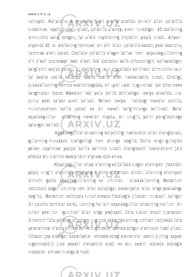 www.arxiv.uz uchraydi. Ko`pincha 9 ta otalik iplari onalik atrofida bir-biri bilan qo`shilib tutashmas naycha hosil qiladi, qo`shilib o`smay, erkin turadigan 10-otalikning birmuncha keng tortgan, ipi o`sha naychaning tirqishini yopib turadi. Ahyon- ahyonda 10 ta otalikning hammasi bir-biri bilan qo`shilib ketadi, yoki aksincha, hammasi erkin qoladi. Otaliklar qo`shilib o`sgan bo`lsa ham kapalakgullilarning o`n a`zoli androtseyi besh a`zoli ikki doiradan kelib chiqqanligini ko`rsatadigan belgilarini saqlab qoladi, bu otalikning uzun-qisqalikda ko`rinadi: birmuncha uzun ipi beshta otalik kaltaroq beshta otalik bilan navbatlashib turadi. Onaligi, dukkaklilarning hamma vakilaridagidek, bir uyali ustki tugunchasi bor bitta meva bargchadan iborat. Mevalari ikki palla bo`lib ochiladigan loviya shaklida, ular quruq yoki ba`zan suvli bo`ladi. Ba`zan loviya holidagi mevalar ochilib, munchoqsimon bo`lib qoladi va bir mevali bo`g`imlarga bo`linadi. Ba`zi kapalakgullilar oilasining mevalari mayda, bir urug`li, ya`ni yong`oqchaga aylangan bo`ladi. Kapalakgullilar oilasining ko`pchiligi hashoratlar bilan changlanadi, gullarning murakkab tuzilganligi ham shunga bog`liq. Ochiq rangli gultojida yelkan qayirmasi yaqqol bo`lib ko`rinib turadi: changlovchi hashoratlarni jalb etishda shu tuzilma asosiy rolni o`ynasa ajab emas. Kapalakgullilar oilasi o`zining xo`jalikda tutgan ahamiyati jixatidan yopiq urug`li o`simliklarning eng muhim oilalaridan biridir. Ularning ahamiyati birinchi galda kapalakgullilarning va umuman dukkaklilarning Bacterium radicicola degan umumiy nom bilan ataladigan bakteriyalar bilan birga yashashga bog`liq. Bacterium radicicola turlari orasida fiziologik jihatdan mustaqil bo`lgan bir qancha formalar borki, ularning har biri kapalakgullilar oilasining ma`lum bir turlari yoki tur guruhlari bilan birga yashaydi. Ildiz tuklari orqali tuproqdan birlamchi ildiz po`stiga o`tadigan tugunak bakteriyalarning urchishi natijasida ildiz parenximasi o`sib qalinlashadi va tugunaklar deb ataladigan o`simtalar hosil qiladi. Ildizdan joy oladigan bakteriyalar atmosferadagi elementlar azotni (uning zapasi tuganmasidir) juda yaxshi o`zlashtira oladi va shu azotni tabiatda biologik moddalar almashinuviga kiritadi. 