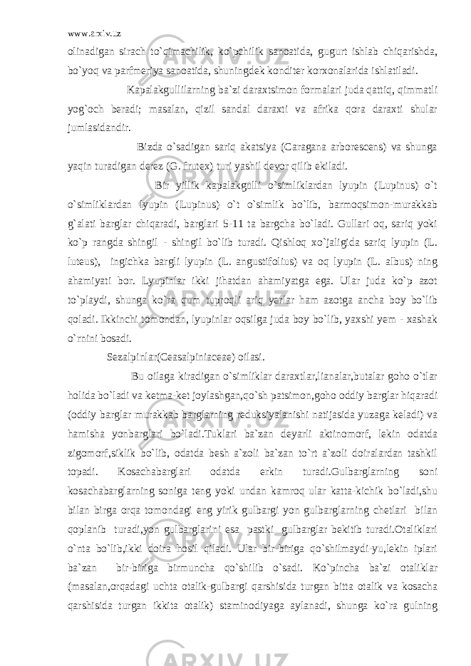 www.arxiv.uz olinadigan sirach to`qimachilik, ko`pchilik sanoatida, gugurt ishlab chiqarishda, bo`yoq va parfmeriya sanoatida, shuningdek konditer korxonalarida ishlatiladi. Kapalakgullilarning ba`zi daraxtsimon formalari juda qattiq, qimmatli yog`och beradi; masalan, qizil sandal daraxti va afrika qora daraxti shular jumlasidandir. Bizda o`sadigan sariq akatsiya (Caragana arborescens) va shunga yaqin turadigan derez (G. frutex) turi yashil devor qilib ekiladi. Bir yillik kapalakgulli o`simliklardan lyupin (Lupinus) o`t o`simliklardan lyupin (Lupinus) o`t o`simlik bo`lib, barmoqsimon-murakkab g`alati barglar chiqaradi, barglari 5-11 ta bargcha bo`ladi. Gullari oq, sariq yoki ko`p rangda shingil - shingil bo`lib turadi. Qishloq xo`jaligida sariq lyupin (L. luteus), ingichka bargli lyupin (L. angustifolius) va oq lyupin (L. albus) ning ahamiyati bor. Lyupinlar ikki jihatdan ahamiyatga ega. Ular juda ko`p azot to`playdi, shunga ko`ra qum tuproqli ariq yerlar ham azotga ancha boy bo`lib qoladi. Ikkinchi tomondan, lyupinlar oqsilga juda boy bo`lib, yaxshi yem - xashak o`rnini bosadi. Sezalpinlar(Ceasalpiniaceae) oilasi. Bu oilaga kiradigan o`simliklar daraxtlar,lianalar,butalar goho o`tlar holida bo`ladi va ketma-ket joylashgan,qo`sh patsimon,goho oddiy barglar hiqaradi (oddiy barglar murakkab barglarning reduksiyalanishi natijasida yuzaga keladi) va hamisha yonbarglari bo`ladi.Tuklari ba`zan deyarli aktinomorf, lekin odatda zigomorf,siklik bo`lib, odatda besh a`zoli ba`zan to`rt a`zoli doiralardan tashkil topadi. Kosachabarglari odatda erkin turadi.Gulbarglarning soni kosachabarglarning soniga teng yoki undan kamroq ular katta-kichik bo`ladi,shu bilan birga orqa tomondagi eng yirik gulbargi yon gulbarglarning chetlari bilan qoplanib turadi,yon gulbarglarini esa pastki gulbarglar bekitib turadi.Otaliklari o`nta bo`lib,ikki doira hosil qiladi. Ular bir-biriga qo`shilmaydi-yu,lekin iplari ba`zan bir-biriga birmuncha qo`shilib o`sadi. Ko`pincha ba`zi otaliklar (masalan,orqadagi uchta otalik-gulbargi qarshisida turgan bitta otalik va kosacha qarshisida turgan ikkita otalik) staminodiyaga aylanadi, shunga ko`ra gulning 