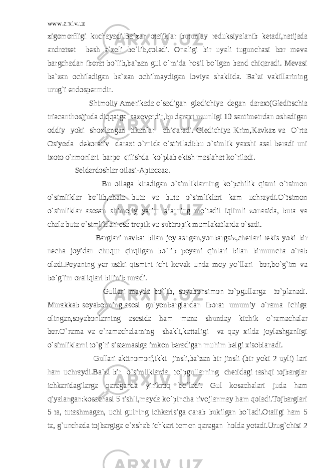 www.arxiv.uz zigomorfligi kuchayadi.Ba`zan otaliklar butunlay reduksiyalanib ketadi,natijada androtset besh a`zoli bo`lib,qoladi. Onaligi bir uyali tugunchasi bor meva bargchadan iborat bo`lib,ba`zan gul o`rnida hosil bo`lgan band chiqaradi. Mevasi ba`zan ochiladigan ba`zan ochilmaydigan loviya shaklida. Ba`zi vakillarining urug`i endospermdir. Shimoliy Amerikada o`sadigan gledichiya degan daraxt(Gleditschia triacanthos)juda diqqatga sazovordir,bu daraxt uzunligi 10 santimetrdan oshadigan oddiy yoki shoxlangan tikanlar chiqaradi. Gledichiya Krim,Kavkaz va O`rta Osiyoda dekorativ daraxt o`rnida o`stiriladi:bu o`simlik yaxshi asal beradi uni ixoto o`rmonlari barpo qilishda ko`plab ekish maslahat ko`riladi. Selderdoshlar oilasi-Apiaceae. Bu oilaga kiradigan o`simliklarning ko`pchilik qismi o`tsimon o`simliklar bo`lib,chala buta va buta o`simliklari kam uchraydi.O`tsimon o`simliklar asosan shimoliy yarim sharning mo`tadil iqlimli zonasida, buta va chala buta o`simliklari esa tropik va subtropik mamlakatlarda o`sadi. Barglari navbat bilan joylashgan,yonbargsiz,chetlari tekis yoki bir necha joyidan chuqur qirqilgan bo`lib poyani qinlari bilan birmuncha o`rab oladi.Poyaning yer ustki qismini ichi kovak unda moy yo`llari bor,bo`g`im va bo`g`im oraliqlari bilinib turadi. Gullari mayda bo`lib, soyabonsimon to`pgullarga to`planadi. Murakkab soyabonning asosi gulyonbarglardan iborat umumiy o`rama ichiga olingan,soyabonlarning asosida ham mana shunday kichik o`ramachalar bor.O`rama va o`ramachalarning shakli,kattaligi va qay xilda joylashganligi o`simliklarni to`g`ri sistemasiga imkon beradigan muhim belgi xisoblanadi. Gullari aktinomorf,ikki jinsli,ba`zan bir jinsli (bir yoki 2 uyli) lari ham uchraydi.Ba`zi bir o`simliklarda to`pgullarning chetidagi tashqi tojbarglar ichkaridagilarga qaraganda yirikroq bo`ladi. Gul kosachalari juda ham qiyalangan:kosachasi 5 tishli,mayda ko`pincha rivojlanmay ham qoladi.Tojbarglari 5 ta, tutashmagan, uchi gulning ichkarisiga qarab bukilgan bo`ladi.Otaligi ham 5 ta, g`unchada tojbargiga o`xshab ichkari tomon qaragan holda yotadi.Urug`chisi 2 