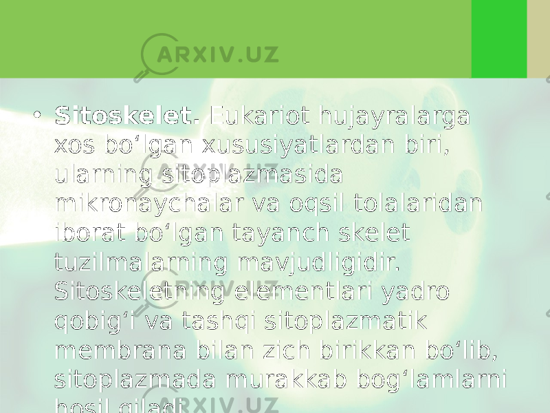 • Sitoskelet. Eukariot hujayralarga xos bo‘lgan xususiyatlardan biri, ularning sitoplazmasida mikronaychalar va oqsil tolalaridan iborat bo‘lgan tayanch skelet tuzilmalarning mavjudligidir. Sitoskeletning elementlari yadro qobig‘i va tashqi sitoplazmatik membrana bilan zich birikkan bo‘lib, sitoplazmada murakkab bog‘lamlarni hosil qiladi. 