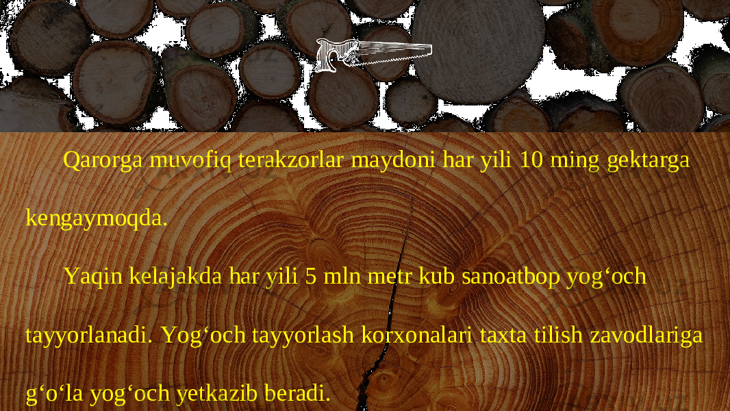 Qarorga muvofiq terakzorlar maydoni har yili 10 ming gektarga kengaymoqda. Yaqin kelajakda har yili 5 mln metr kub sanoatbop yog‘och tayyorlanadi. Yog‘och tayyorlash korxonalari taxta tilish zavodlariga g‘o‘la yog‘och yetkazib beradi. 