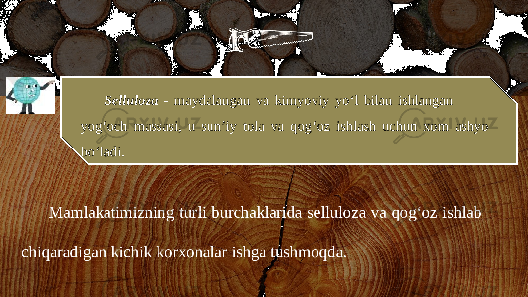 Selluloza - maydalangan va kimyoviy yo ‘ l bilan ishlangan yog ‘ och massasi , u sun ’ iy tola va qog ‘ oz ishlash uchun xom ashyo bo ‘ ladi . Mamlakatimizning turli burchaklarida selluloza va qog‘oz ishlab chiqaradigan kichik korxonalar ishga tushmoqda. 