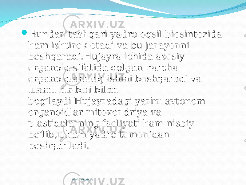  Bundan tashqari yadro oqsil biosintezida ham ishtirok etadi va bu jarayonni boshqaradi.Hujayra ichida asosiy organoid sifatida qolgan barcha organoidlarning ishini boshqaradi va ularni bir-biri bilan bog’laydi.Hujayradagi yarim avtonom organoidlar mitoxondriya va plastidalarning faoliyati ham nisbiy bo’lib,u ham yadro tomonidan boshqariladi. www.arxiv.uz 