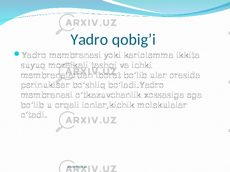 Yadro qobig’i  Yadro membranasi yoki kariolemma ikkita suyuq mozaikali tashqi va ichki membranalardan iborat bo’lib ular orasida perinuklear bo’shliq bo’ladi.Yadro membranasi o’tkazuvchanlik xossasiga ega bo’lib u orqali ionlar,kichik molekulalar o’tadi. www.arxiv.uz 