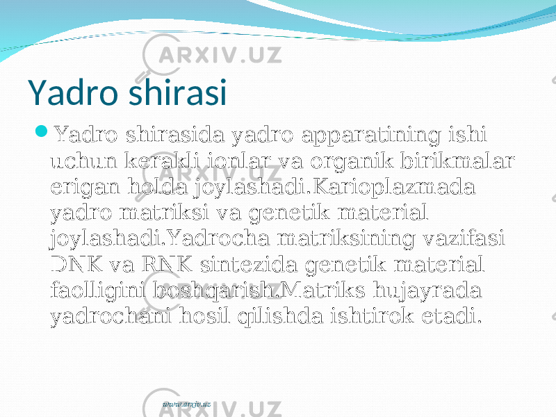 Yadro shirasi  Yadro shirasida yadro apparatining ishi uchun kerakli ionlar va organik birikmalar erigan holda joylashadi.Karioplazmada yadro matriksi va genetik material joylashadi.Yadrocha matriksining vazifasi DNK va RNK sintezida genetik material faolligini boshqarish.Matriks hujayrada yadrochani hosil qilishda ishtirok etadi. www.arxiv.uz 