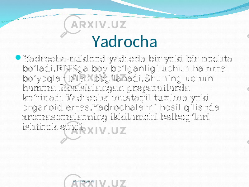 Yadrocha  Yadrocha-nukleod yadroda bir yoki bir nechta bo’ladi.RNKga boy bo’lganligi uchun hamma bo’yoqlar bilan bog’lanadi.Shuning uchun hamma fiksasialangan preparatlarda ko’rinadi.Yadrocha mustaqil tuzilma yoki organoid emas.Yadrochalarni hosil qilishda xromasomalarning ikkilamchi belbog’lari ishtirok etadi. www.arxiv.uz 