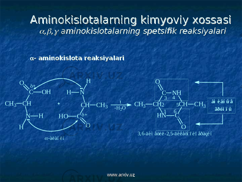 Aminokislotalarning kimyoviy xossasiAminokislotalarning kimyoviy xossasi  ,,  ,,  aminokislotalarning spetsifik reaksiyalari aminokislotalarning spetsifik reaksiyalari  - aminokislota reaksiyalari- aminokislota reaksiyalari -àëàíèí C C H N H C C H H N C H 3 C H 3 O O 1 2 3 4 5 6 3,6-äèìåòèë-2,5-äèêåòîïèïåðàçèí àì èäíû å ãðóïïû C H 3 C H C O H O N H H C H 3 C H C H O O N H H + + -H 2O t www.arxiv.uzwww.arxiv.uz 