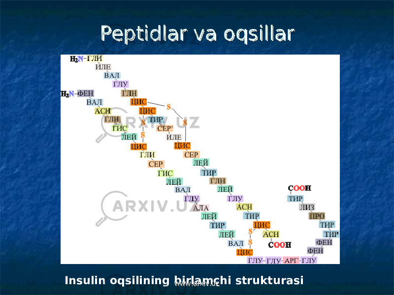 Peptidlar va oqsillarPeptidlar va oqsillar Insulin oqsilining birlamchi strukturasi www.arxiv.uzwww.arxiv.uz 