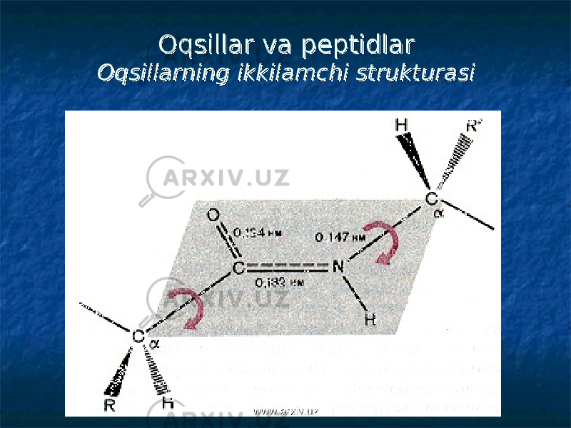 Oqsillar va peptidlarOqsillar va peptidlar Oqsillarning ikkilamchi strukturasiOqsillarning ikkilamchi strukturasi www.arxiv.uzwww.arxiv.uz 