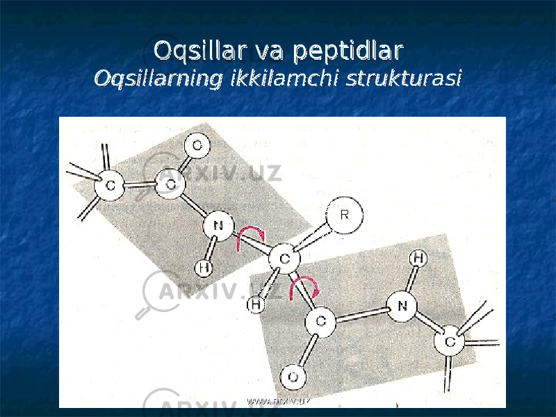 Oqsillar va peptidlarOqsillar va peptidlar Oqsillarning ikkilamchi strukturasiOqsillarning ikkilamchi strukturasi www.arxiv.uzwww.arxiv.uz 