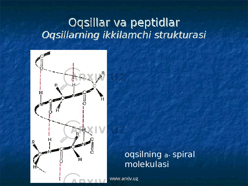 Oqsillar va peptidlarOqsillar va peptidlar Oqsillarning ikkilamchi strukturasiOqsillarning ikkilamchi strukturasi oqsilning a- spiral molekulasi www.arxiv.uzwww.arxiv.uz 