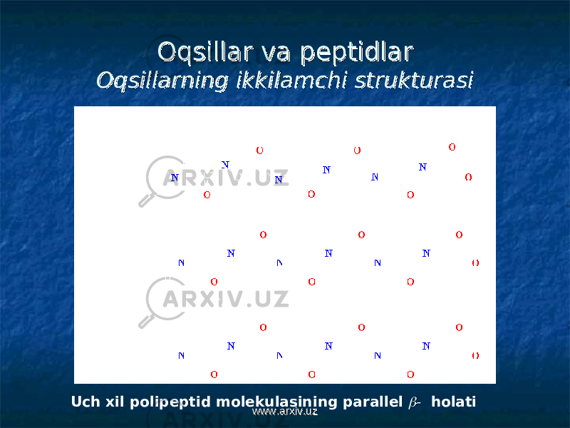 Oqsillar va peptidlarOqsillar va peptidlar Oqsillarning ikkilamchi strukturasiOqsillarning ikkilamchi strukturasi Uch xil polipeptid molekulasining parallel  - - holati www.arxiv.uzwww.arxiv.uz 