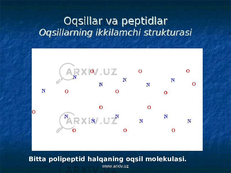 Oqsillar va peptidlarOqsillar va peptidlar Oqsillarning ikkilamchi strukturasiOqsillarning ikkilamchi strukturasi Bitta polipeptid halqaning oqsil molekulasi. www.arxiv.uzwww.arxiv.uz 