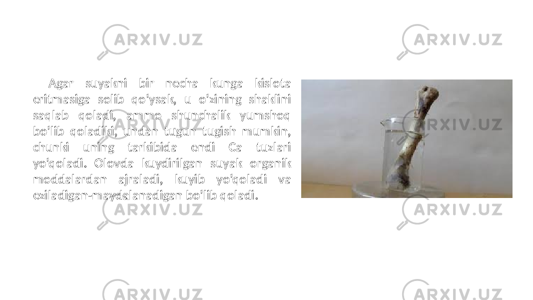 Agar suyakni bir necha kunga kislota eritmasiga solib qo’ysak, u o’zining shaklini saqlab qoladi, ammo shunchalik yumshoq bo’lib qoladiki, undan tugun tugish mumkin, chunki uning tarkibida endi Ca tuzlari yo’qoladi. Olovda kuydirilgan suyak organik moddalardan ajraladi, kuyib yo’qoladi va eziladigan-maydalanadigan bo’lib qoladi. 