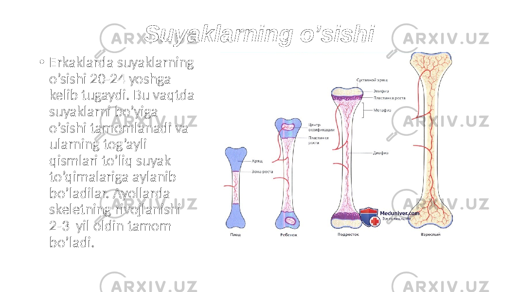 Suyaklarning o’sishi • Erkaklarda suyaklarning o’sishi 20-24 yoshga kelib tugaydi. Bu vaqtda suyaklarni bo’yiga o’sishi tamomlanadi va ularning tog’ayli qismlari to’liq suyak to’qimalariga aylanib bo’ladilar. Ayollarda skeletning rivojlanishi 2-3 yil oldin tamom bo’ladi. 