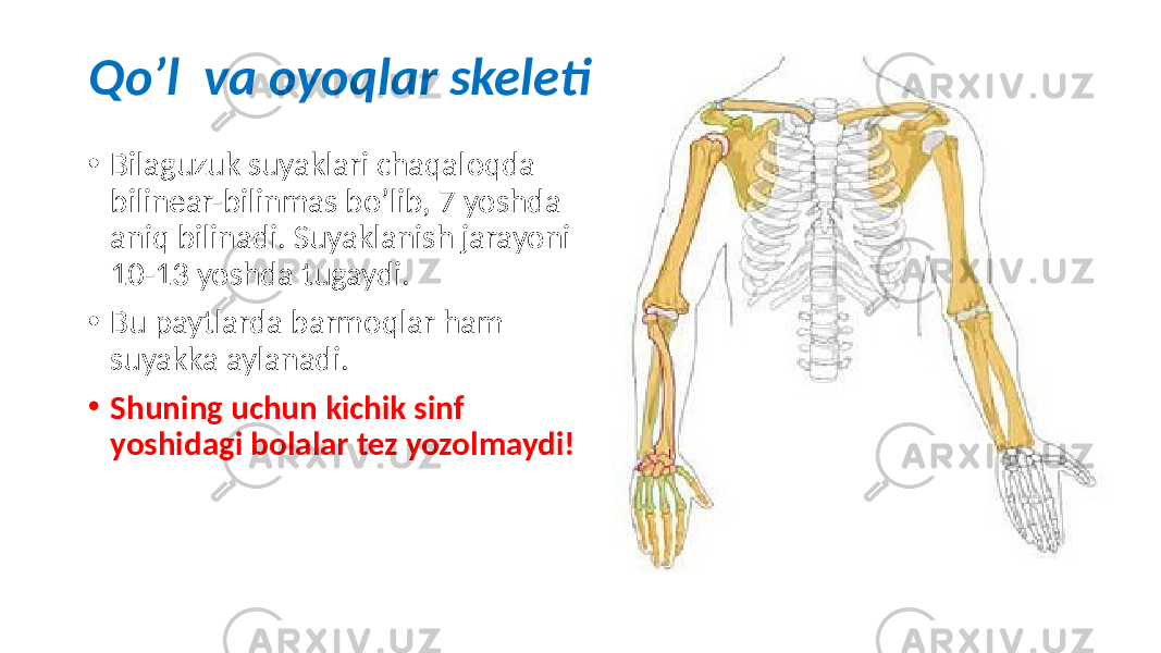 Qo’l va oyoqlar skeleti • Bilaguzuk suyaklari chaqaloqda bilinear-bilinmas bo’lib, 7 yoshda aniq bilinadi. Suyaklanish jarayoni 10-13 yoshda tugaydi. • Bu paytlarda barmoqlar ham suyakka aylanadi. • Shuning uchun kichik sinf yoshidagi bolalar tez yozolmaydi! 