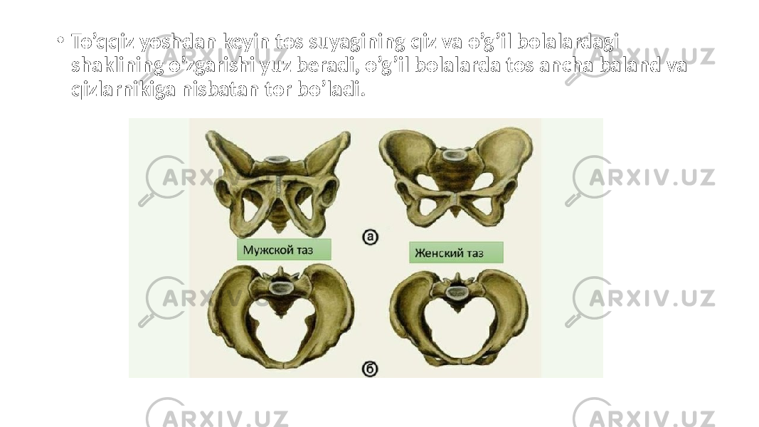 • To’qqiz yoshdan keyin tos suyagining qiz va o’g’il bolalardagi shaklining o’zgarishi yuz beradi, o’g’il bolalarda tos ancha baland va qizlarnikiga nisbatan tor bo’ladi. 