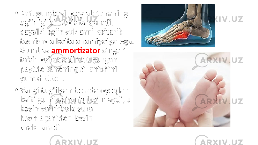 • Kaft gumbazi bo’ylab tananing og’irligi bir tekis tarqaladi, qaysiki og’ir yuklarni ko’tarib tashishda katta ahamiyatga ega. Gumbaz ammortizator singari ta’sir ko’rsatadi va u yurgan paytda tananing silkinishini yumshatadi. • Yangi tug’ilgan bolada oyoqlar kafti gumbazi aniq bo’lmaydi, u keyin ya’ni bola yura boshlaganidan keyin shakllanadi. 