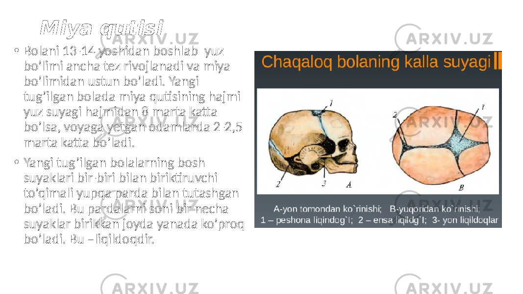 Miya qutisi • Bolani 13-14 yoshidan boshlab yuz bo’limi ancha tez rivojlanadi va miya bo’limidan ustun bo’ladi. Yangi tug’ilgan bolada miya qutisining hajmi yuz suyagi hajmidan 8 marta katta bo’lsa, voyaga yetgan odamlarda 2-2,5 marta katta bo’ladi. • Yangi tug’ilgan bolalarning bosh suyaklari bir-biri bilan biriktiruvchi to’qimali yupqa parda bilan tutashgan bo’ladi. Bu pardalarni soni bir necha suyaklar birikkan joyda yanada ko’proq bo’ladi. Bu –liqildoqdir. 