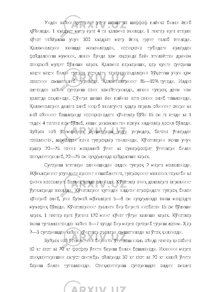 Ундан кейин қутининг усти шиша ва шаффоф плёнка билан ёпиб қўйилади. 1 квадрат метр ерга 4 та қаламча экилади. 1 гектар ерга етарли кўчат тайёрлаш учун 300 квадрат метр ёпиқ грунт талаб этилади. Қаламчаларни экишда жавонлардан, иссиқхона тубидаги ерлардан фойдаланиш мумкин, лекин бунда ҳам юқорида баён этилаётган дренаж озиқавий муҳит бўлиши керак. Қаламча парвариши, ҳар кунги суғориш вақти-вақти билан тупроқ устидаги зараркунандаларни йўқотиш учун қум юзасини юмшатилиб турилади. Қаламчаларнинг 85—90%   тутади. Илдиз олгандан кейин суғориш сони камайтирилади, лекин тупроқ доим нам ҳолатда сақланади. Сўнгра шиша ёки плёнка аста-секин олиб ташланади. Қаламчаларни далага олиб чиқиб экилгунга қадар апрель ойининг охири ва май ойининг бошларида иссиқхонадаги кўчатлар бўйи 15 см га етади ва 1 тадан 4 тагача поя бўлиб, яхши ривожланган попук илдизлар ҳосил бўлади. Буйрак чой ўсимлигини етиштириш учун унумдор, бегона ўтлардан тозаланган, шамолдан пана тупроқлар танланади. Кўчатларни экиш учун ерлар 20—25 тонна маҳаллий ўғит ва суперфосфат ўғитлари билан озиқлантирилиб, 20—25 см чуқурликда ҳайдалиши керак. Суғориш эгатлари олинишидан олдин тупроқ 2 марта молаланади. Жўякларнинг узунлиги ернинг нишаблигига, тупроқнинг механик таркиби ва физик хоссаларга боғлиқ ҳолда олинади. Кўчатлар очиқ далаларга апрелнинг ўрталарида экилади. Кўчатларни кутидан илдизи атрофидаги тупроқ билан кўчириб олиб, уни бузмай жўякларга 5—8 см чуқурликда экиш мақсадга мувофиқ бўлади. Кўчатларнинг оралиғи бир-бирига нисбатан 15 см бўлиши керак. 1 гектар ерга ўртача 120 минг кўчат тўғри келиши керак. Кўчатлар экиш тугаллангандан кейин 6—7 кунда бир марта суғориб туриш лозим. Ҳар 2—3 суғоришдан кейин кўчатлар оралари юмшатилади ва ўтоқ қилинади. Буйрак чой ўсимлигини биринчи ўғитлаш июль ойида гектар ҳисобига 50 кг азот ва 20 кг фосфор ўғити бериш билан бошланади. Иккинчи марта озиқлантиришни август-сентябрь ойларида 30 кг азот ва 20 кг калий ўғити бериш билан тугалланади. Озиқлантириш суғоришдан олдин амалга 